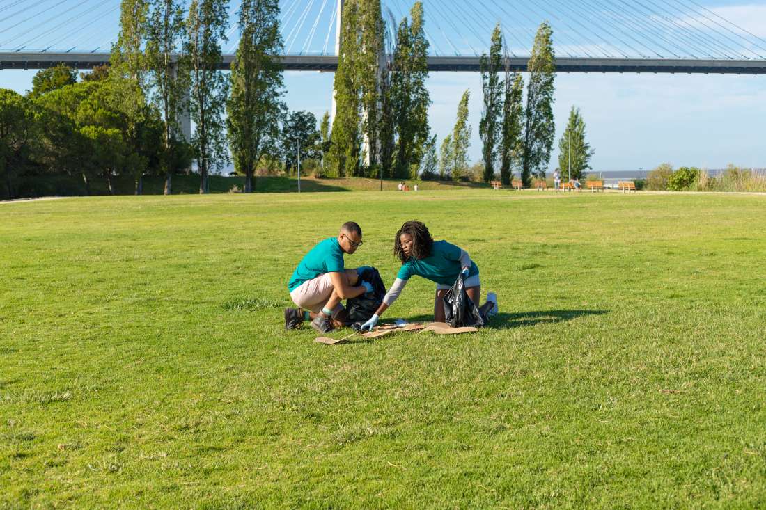 Why Natural Lawns Are Becoming Unsustainable in California, and What Homeowners Are Switching To