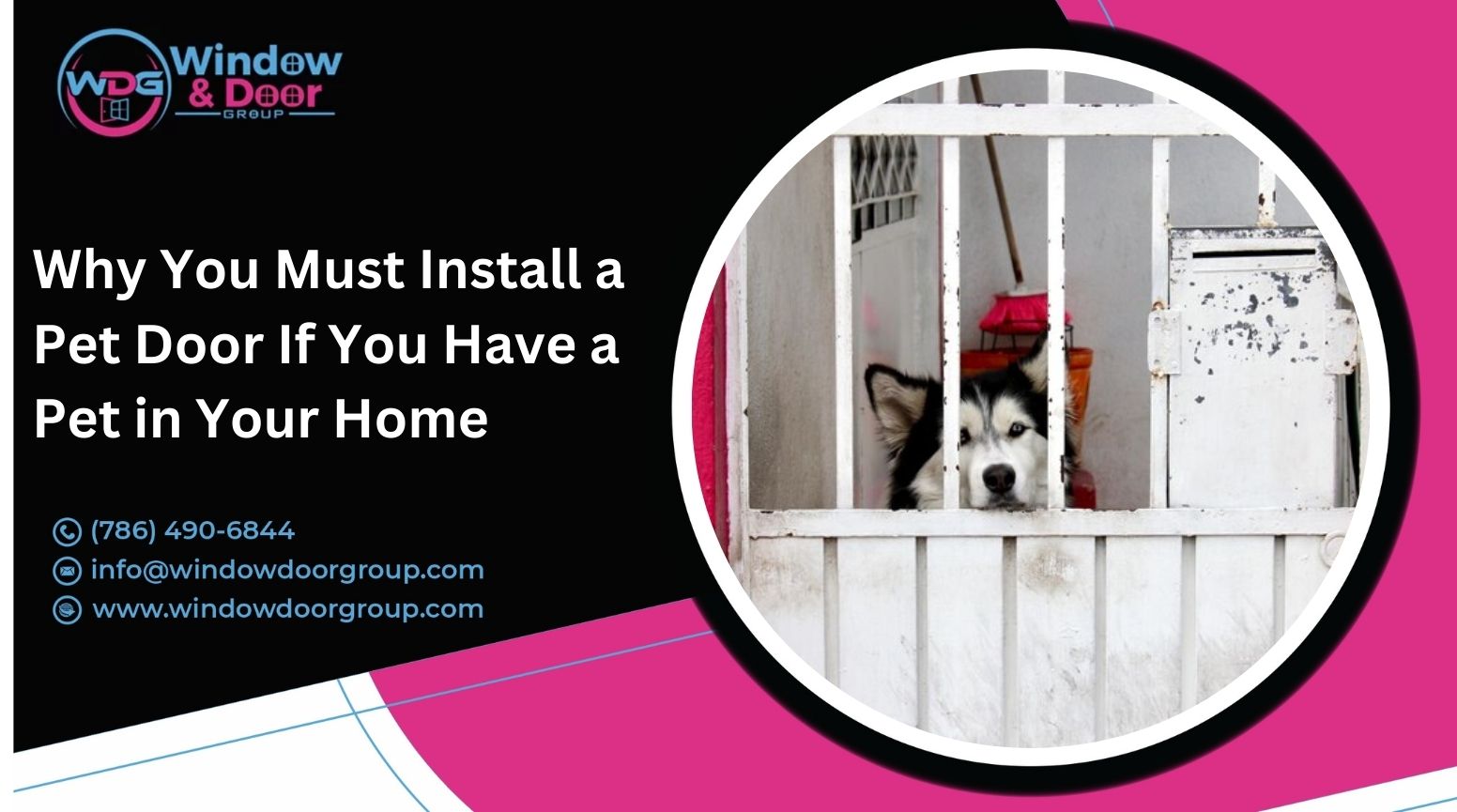 Pet Door If You Have a Pet in Your Home 1